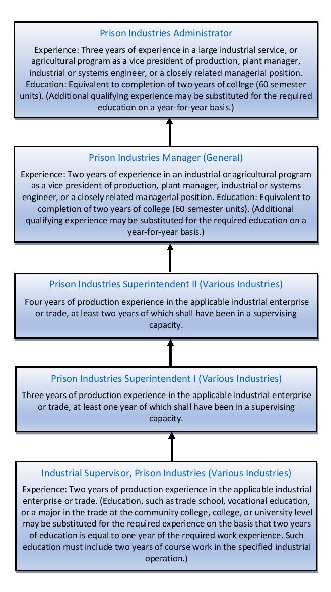 CALCTRA Career Ladder chart